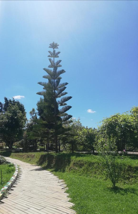 Posada Torre Del Milano Comillas Eksteriør bilde